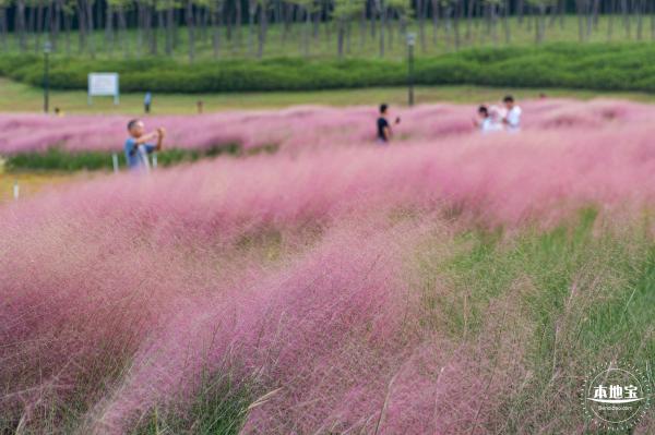 陌上花公园
