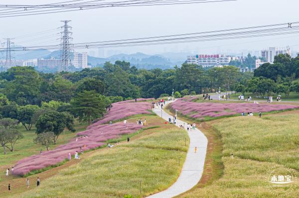 陌上花公园