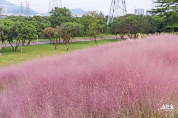 陌上花公园