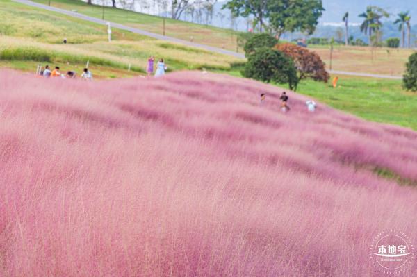 陌上花公园