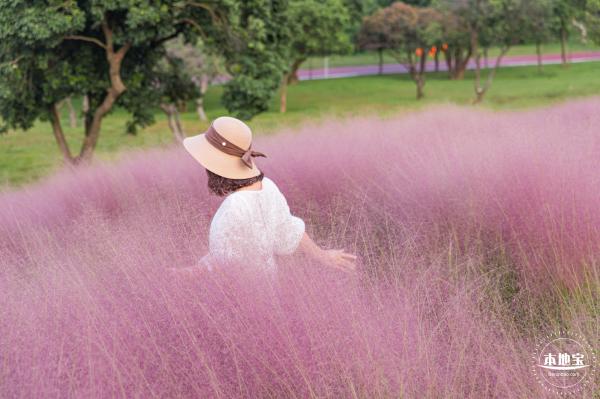 陌上花公园