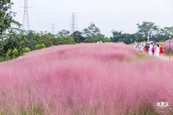 陌上花公园