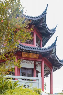 玉龙公园