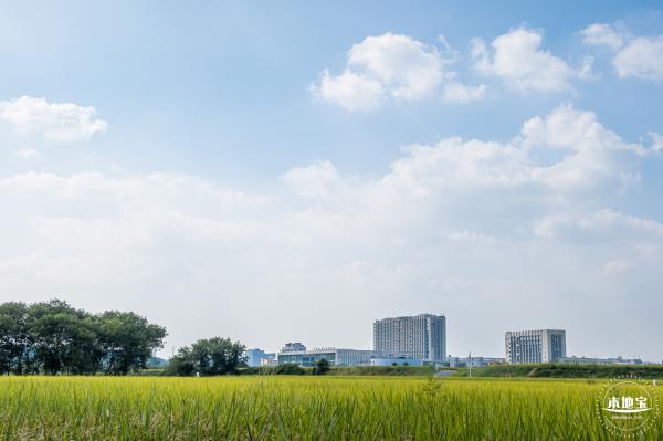 光明欢乐田园风光