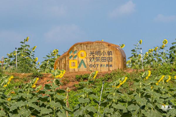 光明欢乐田园风光