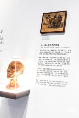 人类疫苗博物馆