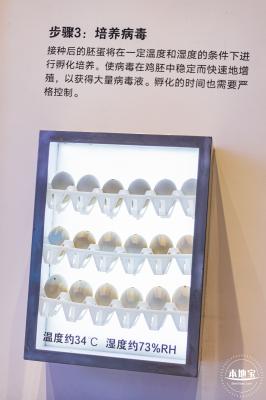 人类疫苗博物馆