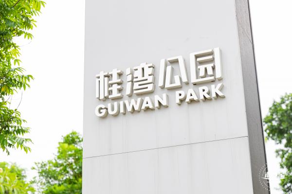 桂湾公园花海