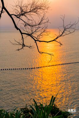 精酿农场海景