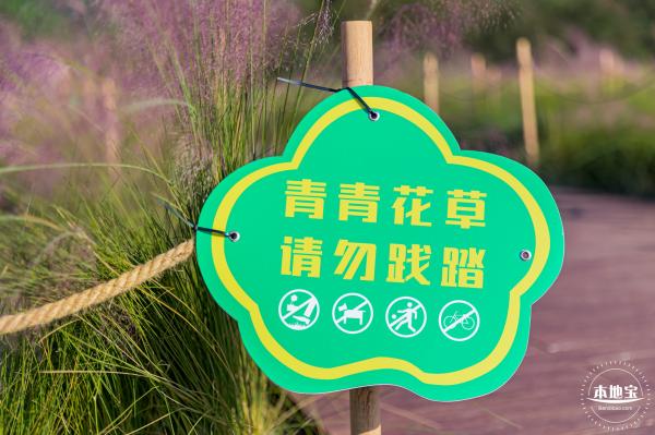 新大河湿地公园（粉黛乱子草）