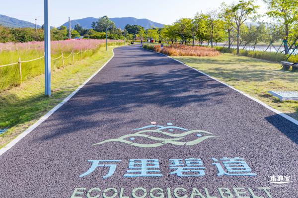 新大河湿地公园（粉黛乱子草）