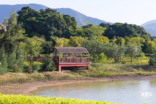 新大河湿地公园（粉黛乱子草）