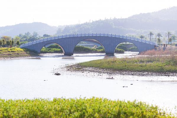 新大河湿地公园（粉黛乱子草）