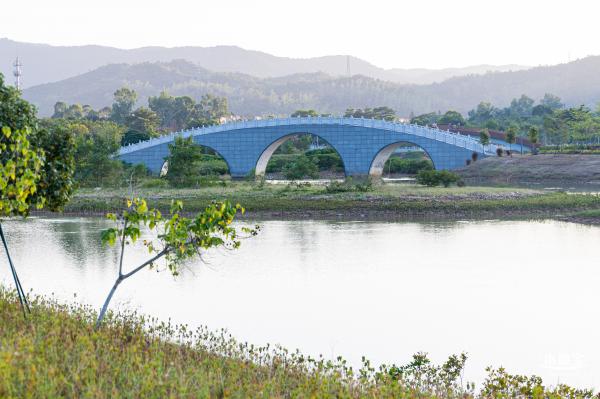 新大河湿地公园（粉黛乱子草）