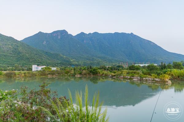 新大河湿地公园（粉黛乱子草）