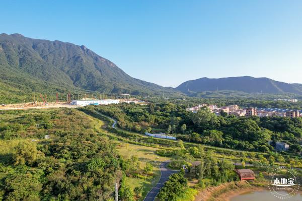 新大河湿地公园（粉黛乱子草）