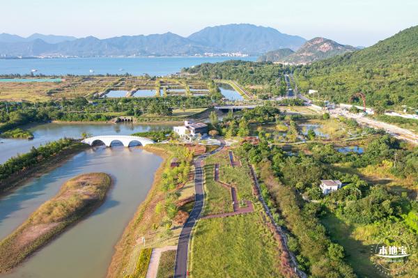 新大河湿地公园（粉黛乱子草）