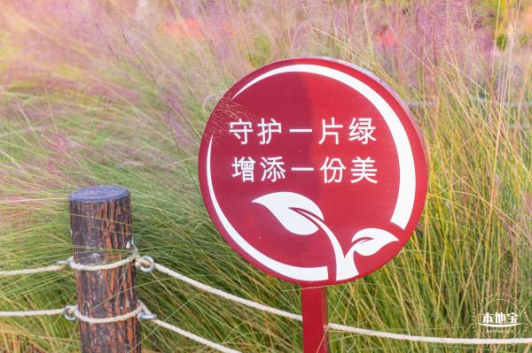 红花山花海