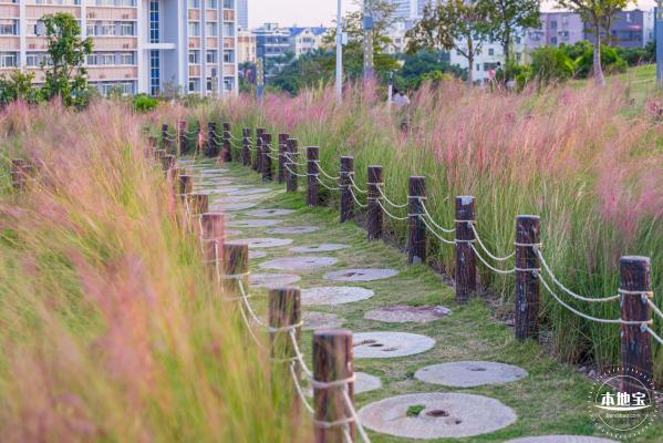 红花山花海