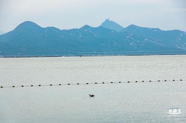 深圳湾公园