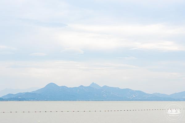 深圳湾公园