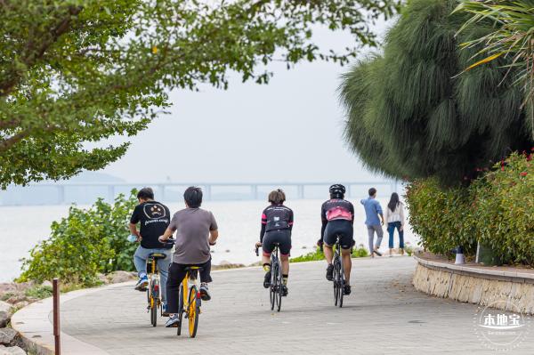 深圳湾公园