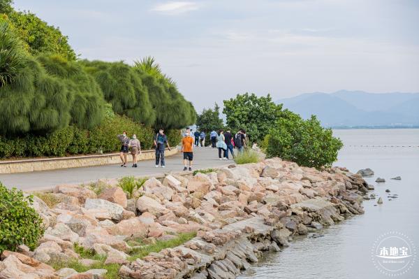 深圳湾公园