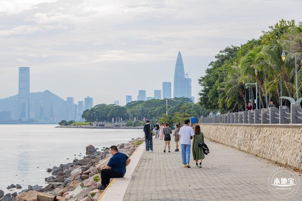 深圳湾公园