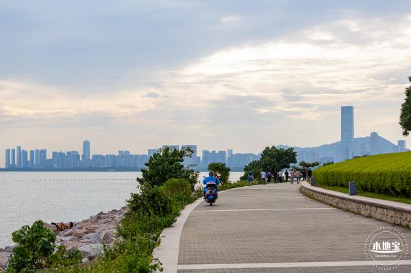 深圳湾公园