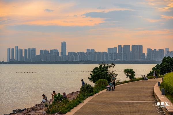 深圳湾公园