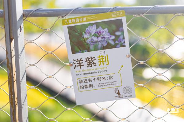 坪山儿童公园