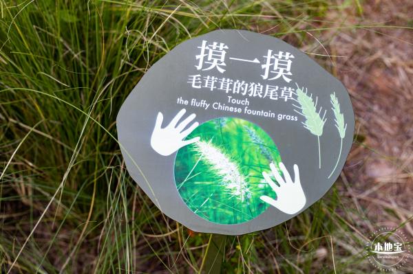 坪山儿童公园