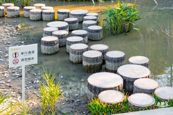 坪山儿童公园