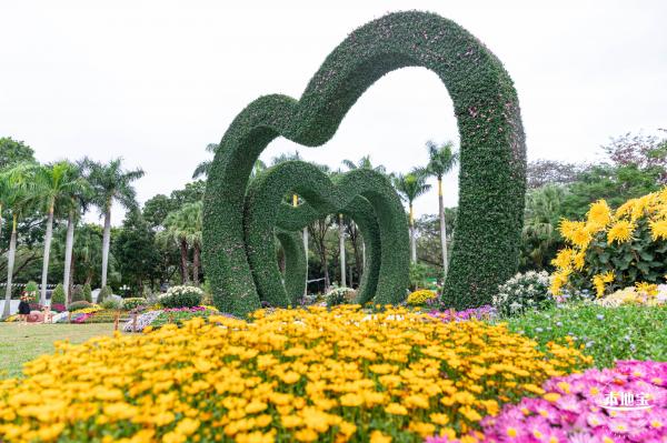 2022东湖公园菊花展