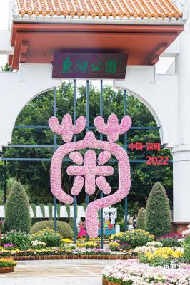 2022东湖公园菊花展