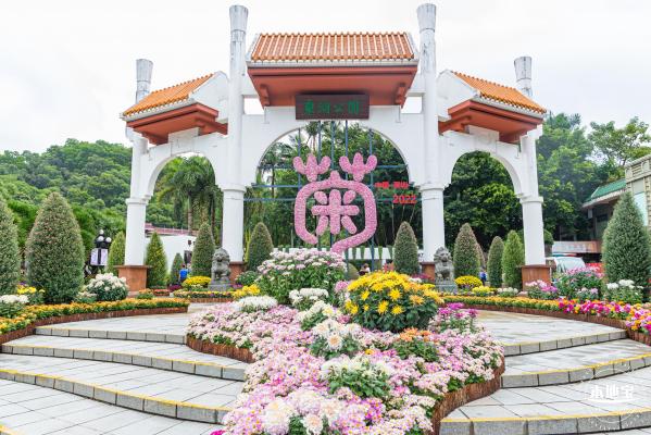 2022东湖公园菊花展