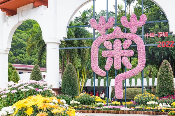 2022东湖公园菊花展