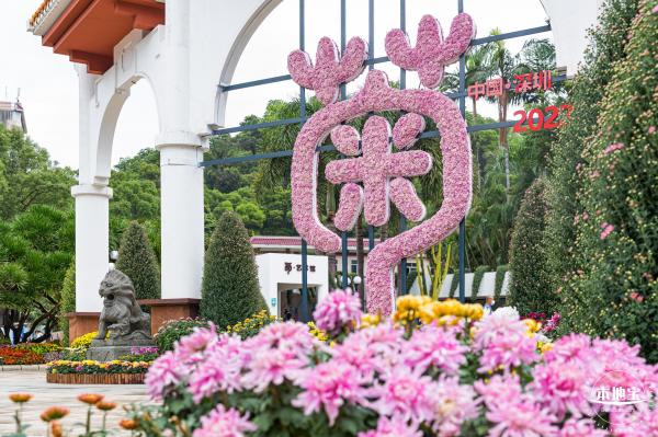 2022东湖公园菊花展