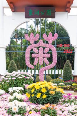 2022东湖公园菊花展