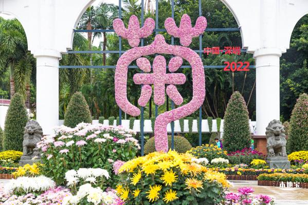 2022东湖公园菊花展