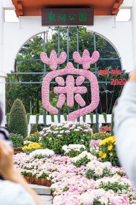 2022东湖公园菊花展