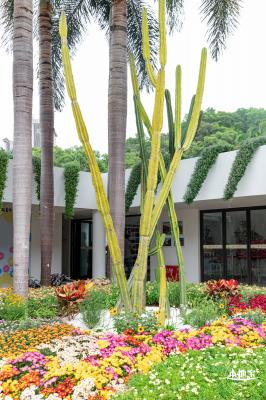 2022东湖公园菊花展