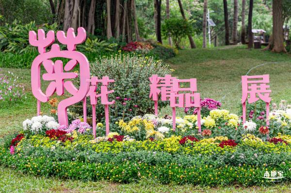 2022东湖公园菊花展