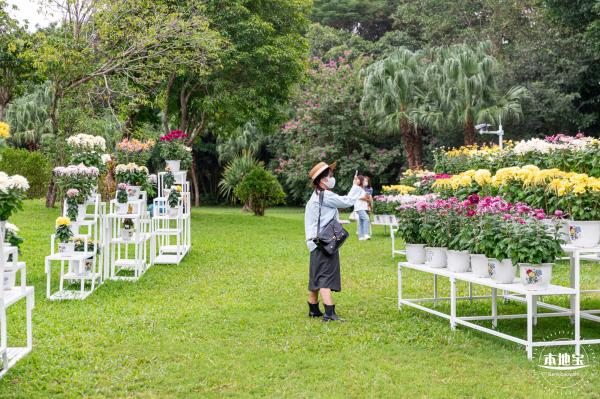 2022东湖公园菊花展