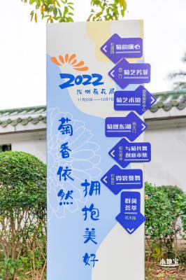 2022东湖公园菊花展