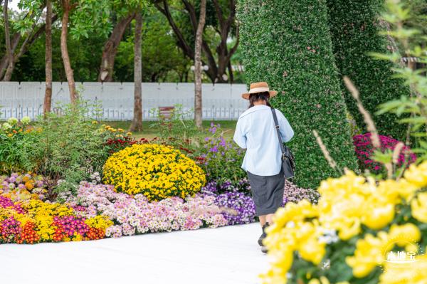 2022东湖公园菊花展