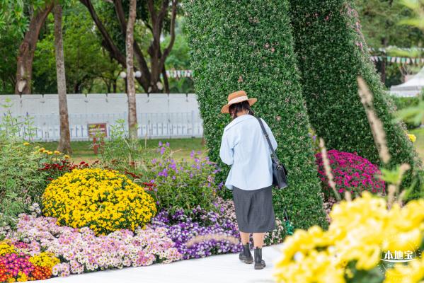 2022东湖公园菊花展