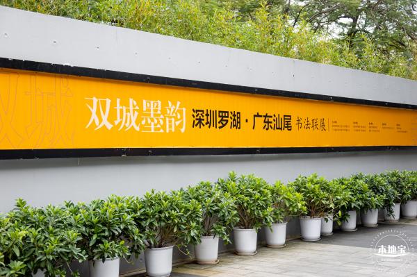 罗湖美术馆