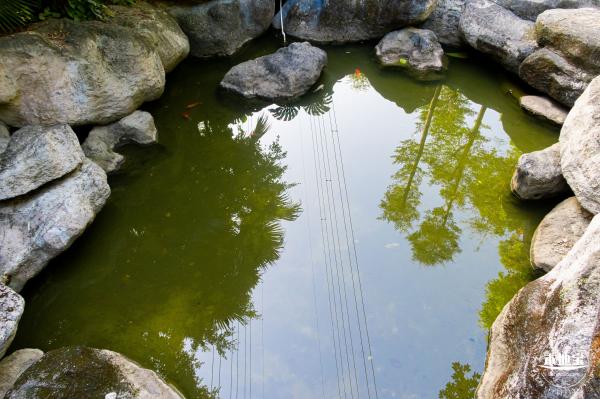 深圳水土保持科技示范园