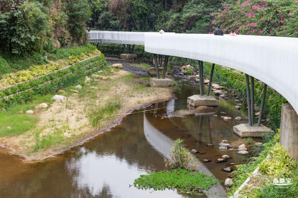 罗湖白色溪流栈道